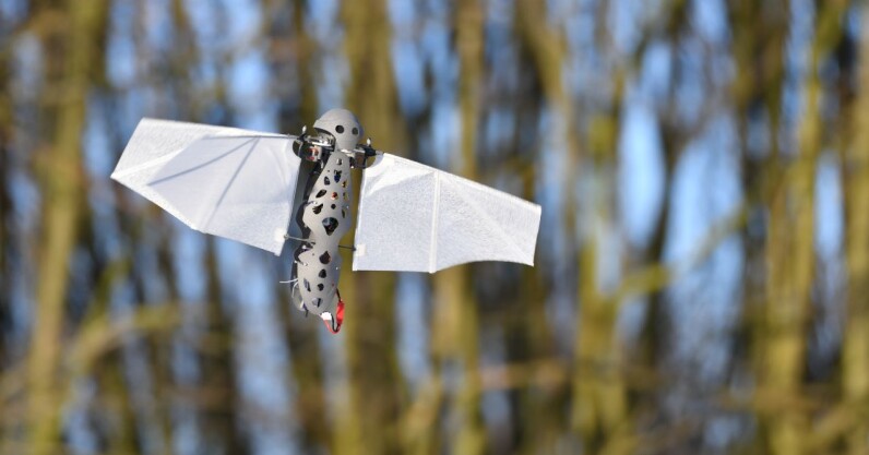 are-bioinspired-drones-the-next-big-thing-in-unmanned-flight?