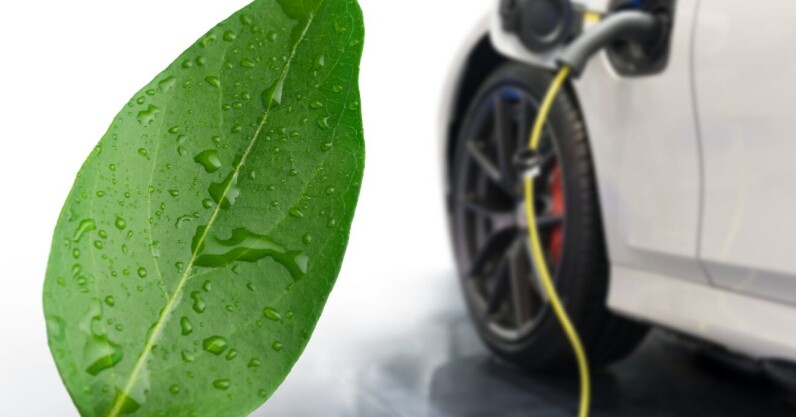 scientists-develop-‘artificial-leaf’-that-could-power-the-cars-of-the-future