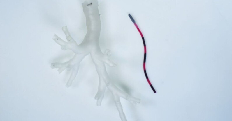 these-tiny-robotic-tentacles-could-travel-into-the-lungs-to-treat-cancer