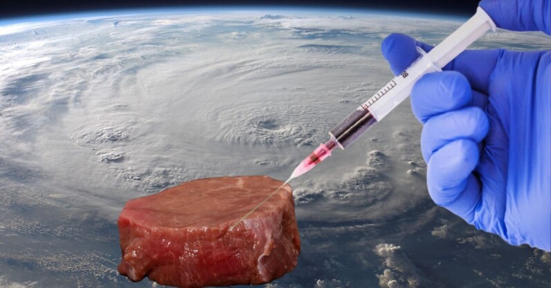 cultivated-meat-is-a-‘promising’-space-food-for-astronauts,-esa-says