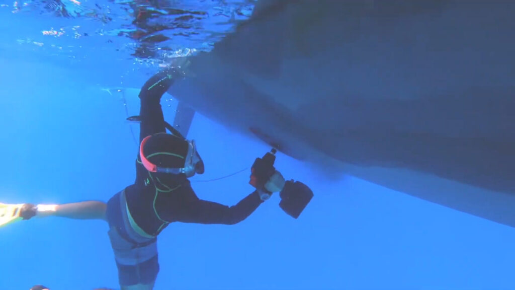 this-brand-makes-drills-and-impact-drivers-that-work-underwater