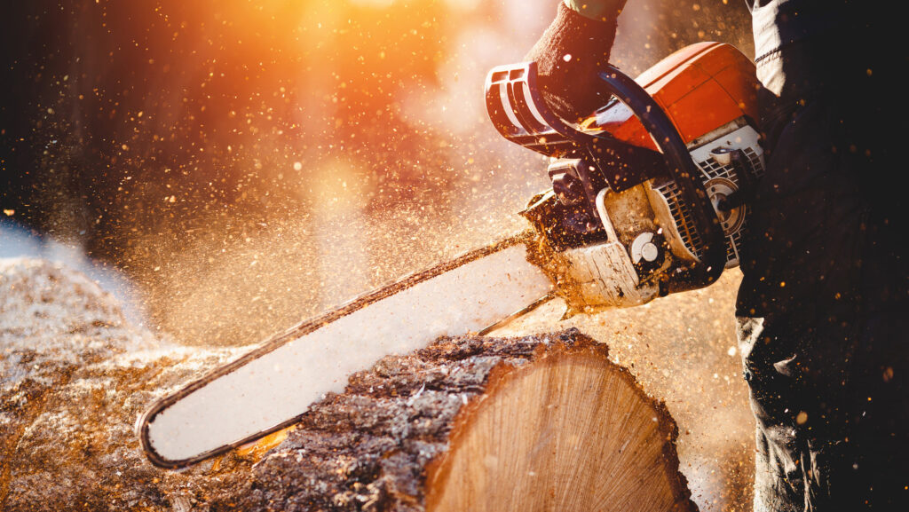 6-of-the-best-rated-electric-chainsaws-in-2024