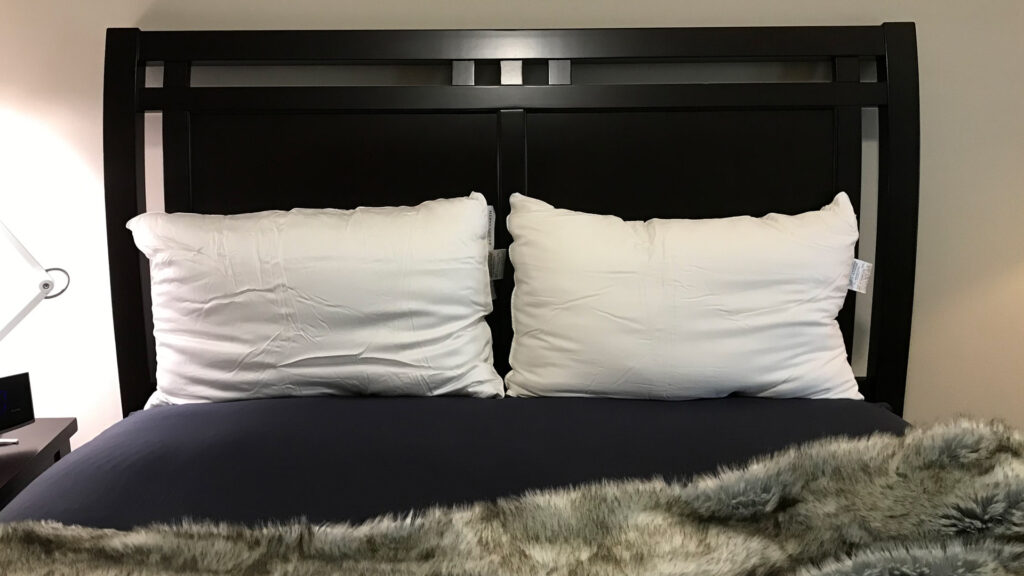 cozy-earth-silk-pillow-review