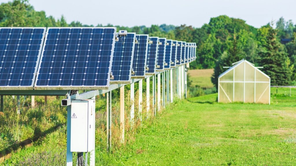 5-things-solar-panels-can-power-in-your-greenhouse