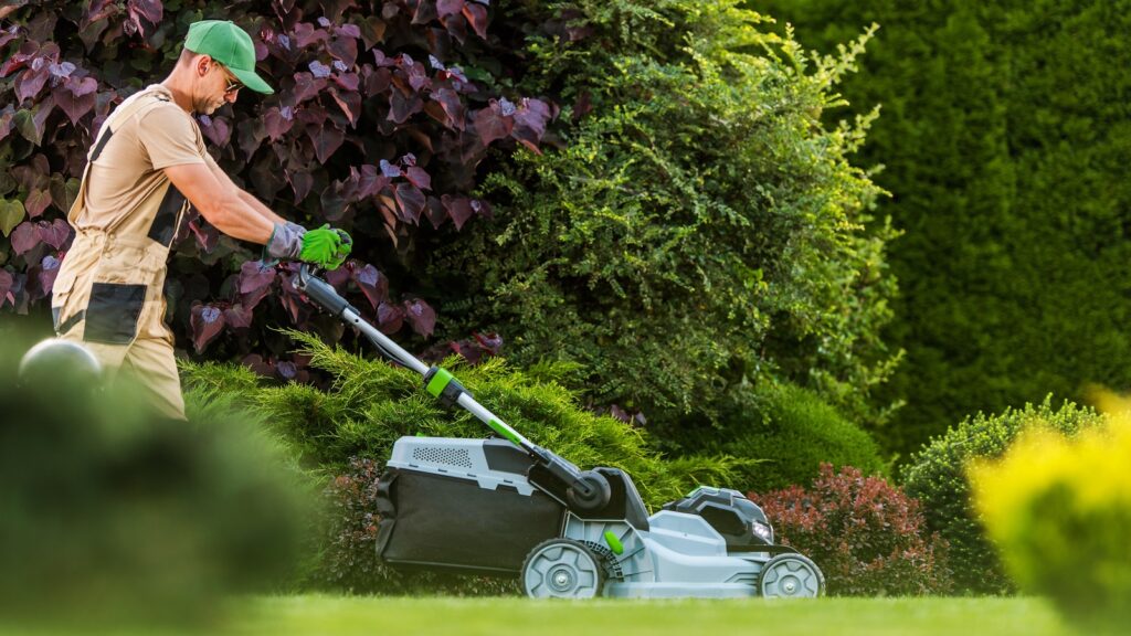 ryobi-vs.-ego:-which-brand-makes-the-better-push-lawn-mower-(according-to-owner-reviews)