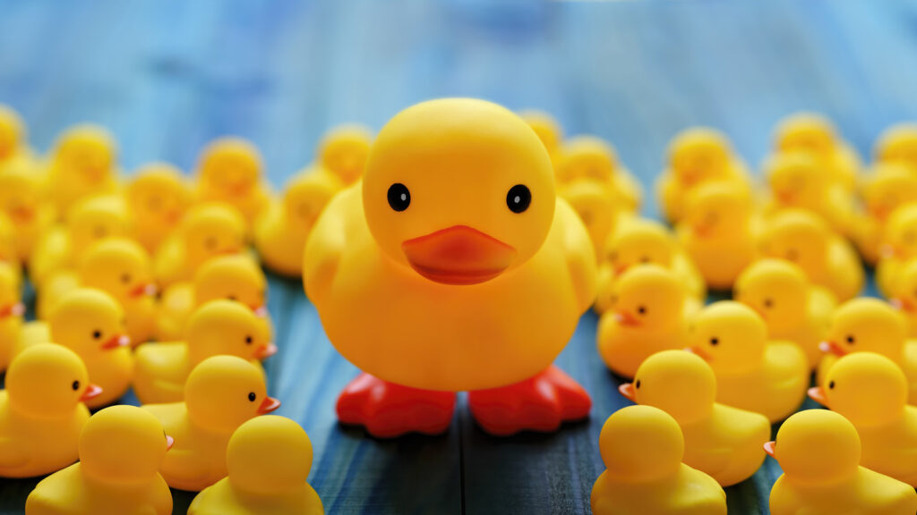 don’t-want-people-putting-ducks-on-your-jeep?-here’s-what-to-do