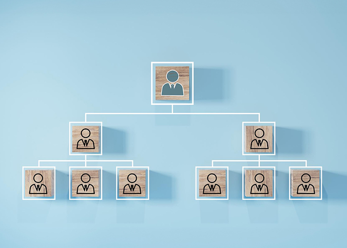 pros-and-cons-of-a-linear-management-structure-in-management