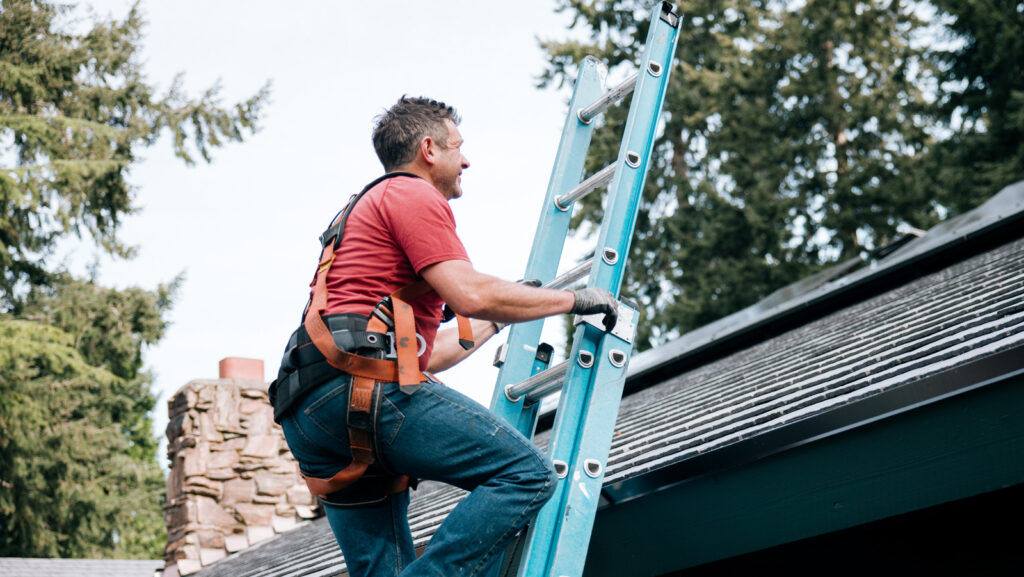 harbor-freight-buying-guide:-how-to-know-which-ladder-best-meet-your-needs