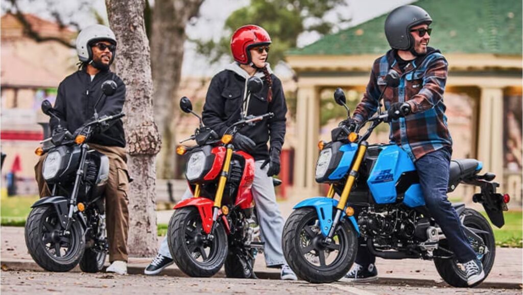 honda-grom-vs.-monkey:-how-do-these-mini-motorcycles-compare?